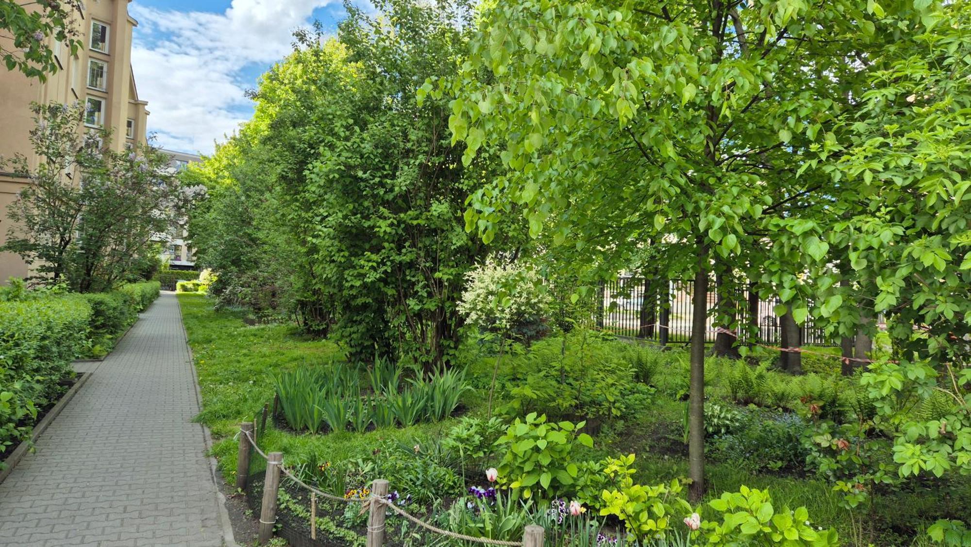 Apartament Daszynskiego Cracóvia Exterior foto